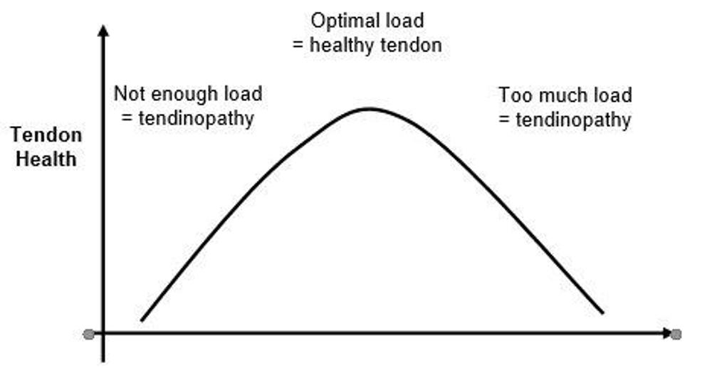 Tendon Health And Loading