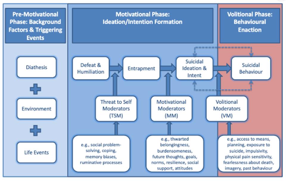 Integrated Motivational Volitional Model and how it works