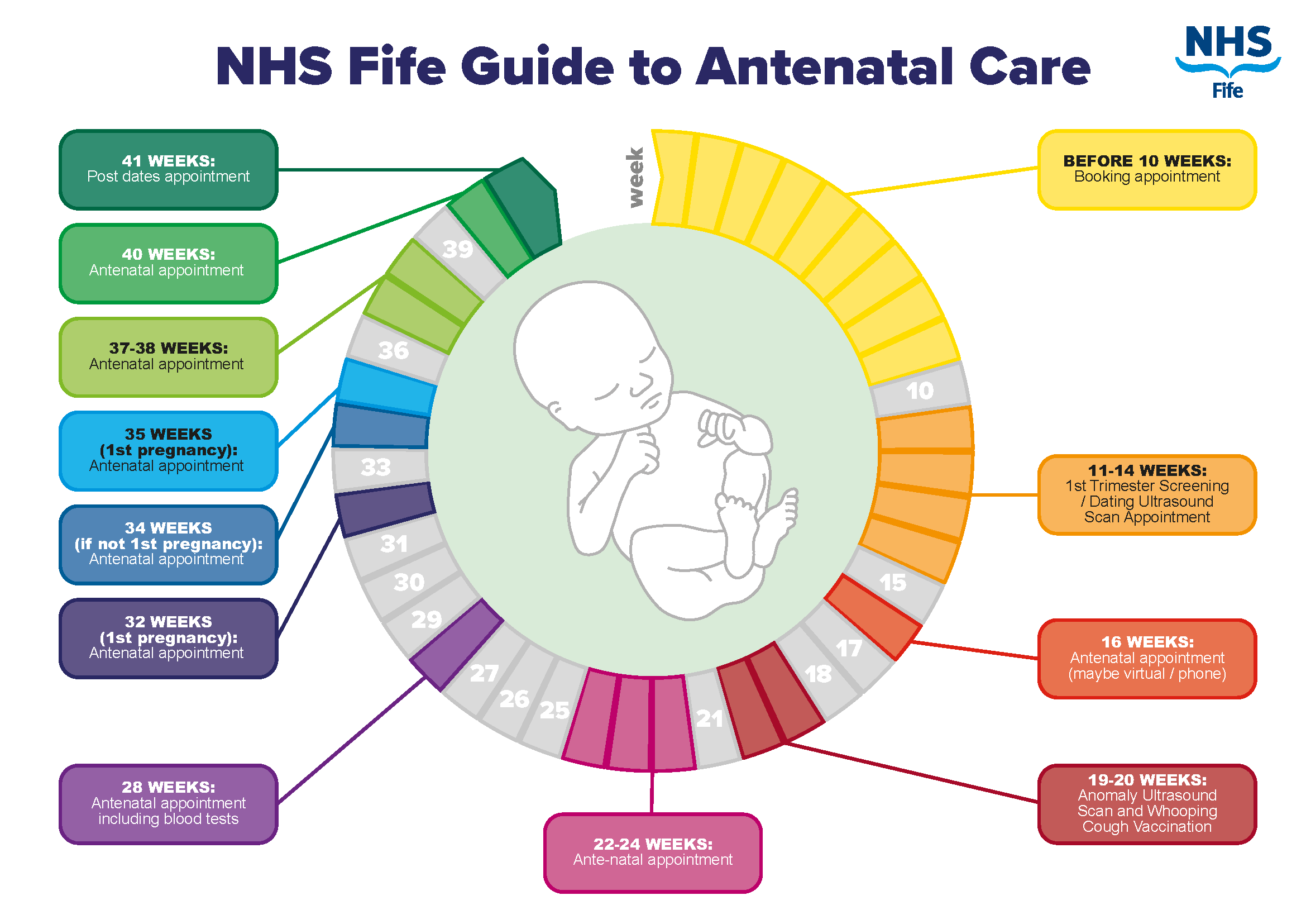 Antenatal Care Schedule | NHS Fife